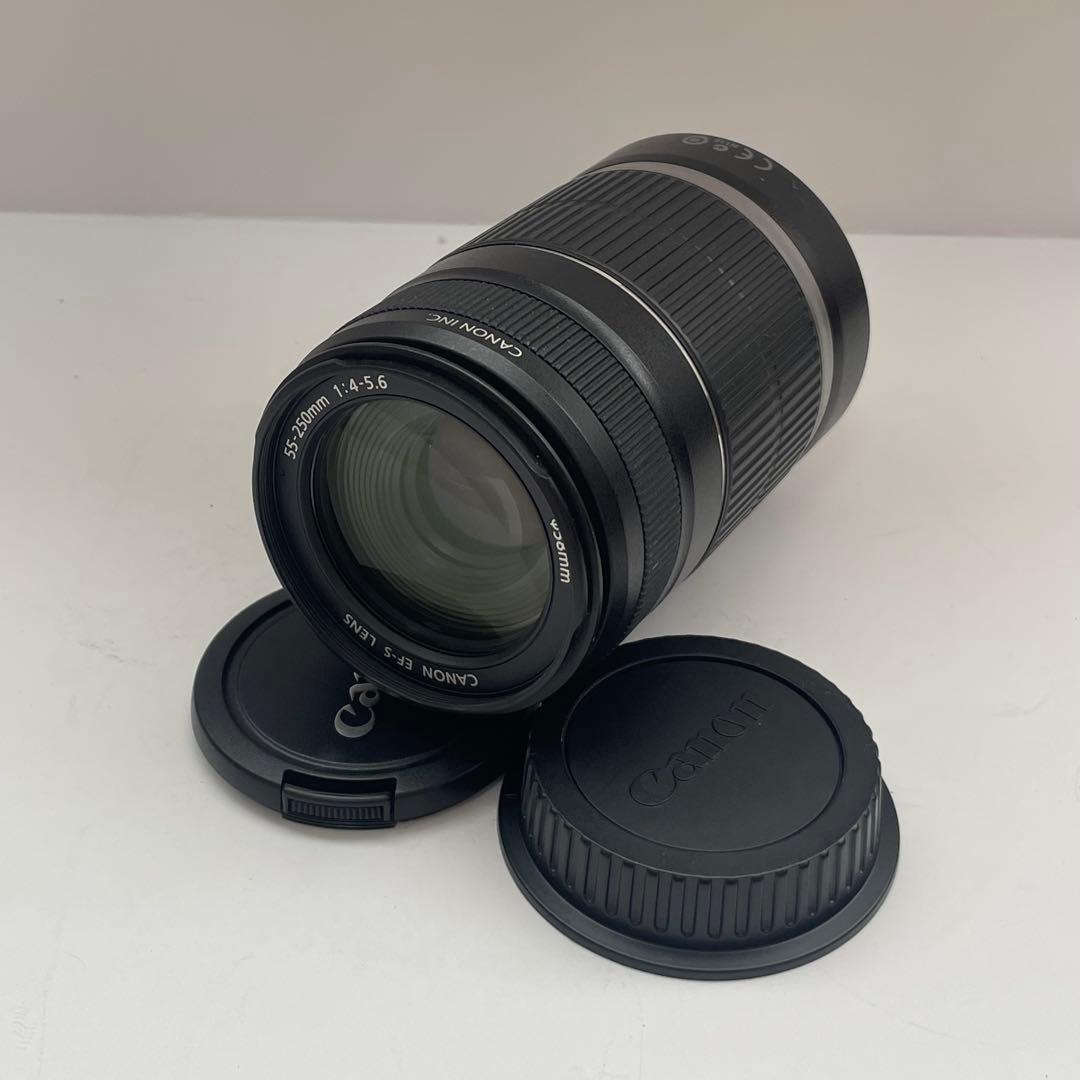 動作品 Canon EF-S 55-250mm ズームレンズ