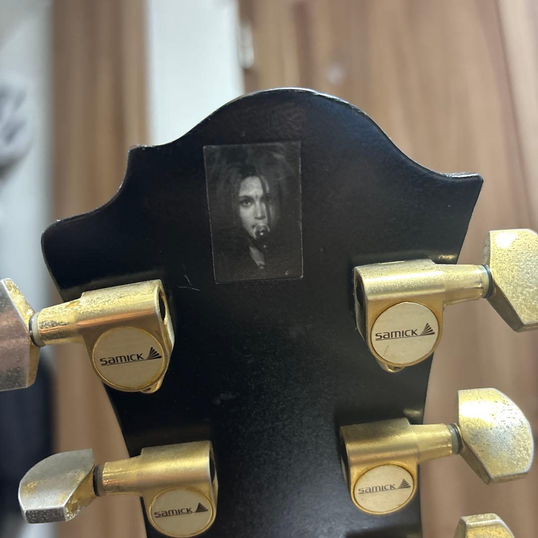 [くんさん専用]モッキンバード 自作サイケペイント hide