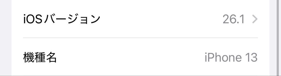 iPhone 13 256GB ブルー