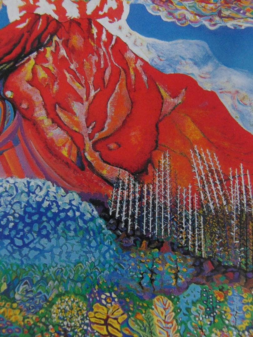 三輪孝一、【桜島ライブ】、希少な額装用画集より、新品額装付、状態良好