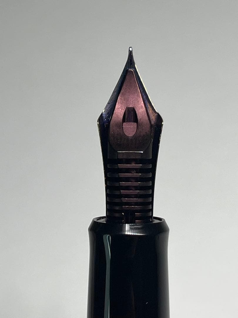 ※専用　PILOT CUSTOM 743 万年筆 14金 SFソフトファイン