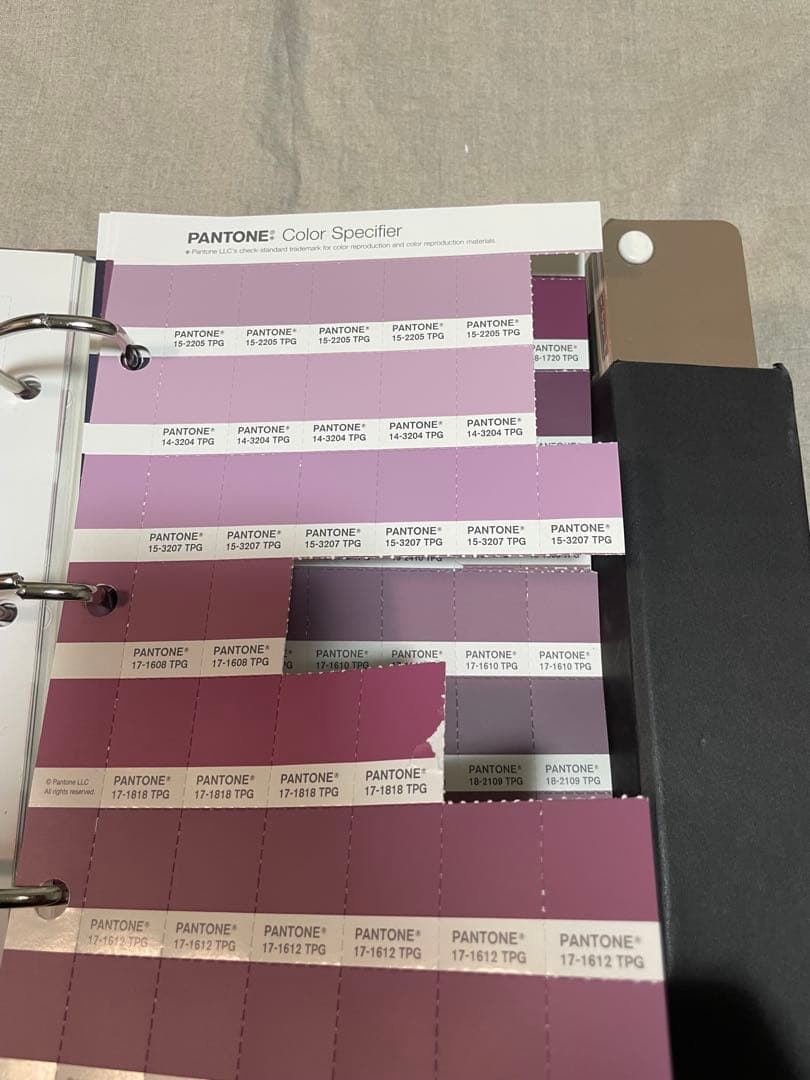 その他 Pantone fashion  interior 2 TPG