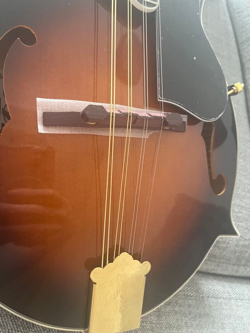 ARIA AM-40 フラットマンドリン