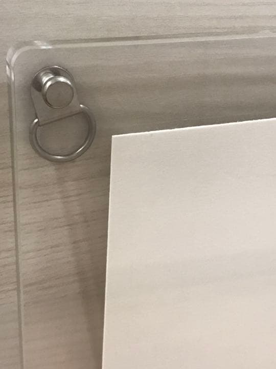 【激レア】【特別額装】アントニーミカレフ「I Break Everything」