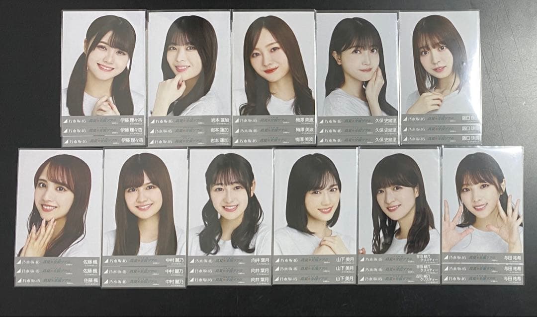 乃木坂46 真夏の全国ツアー2022 北海道　ライブt 生写真　フルコンプ