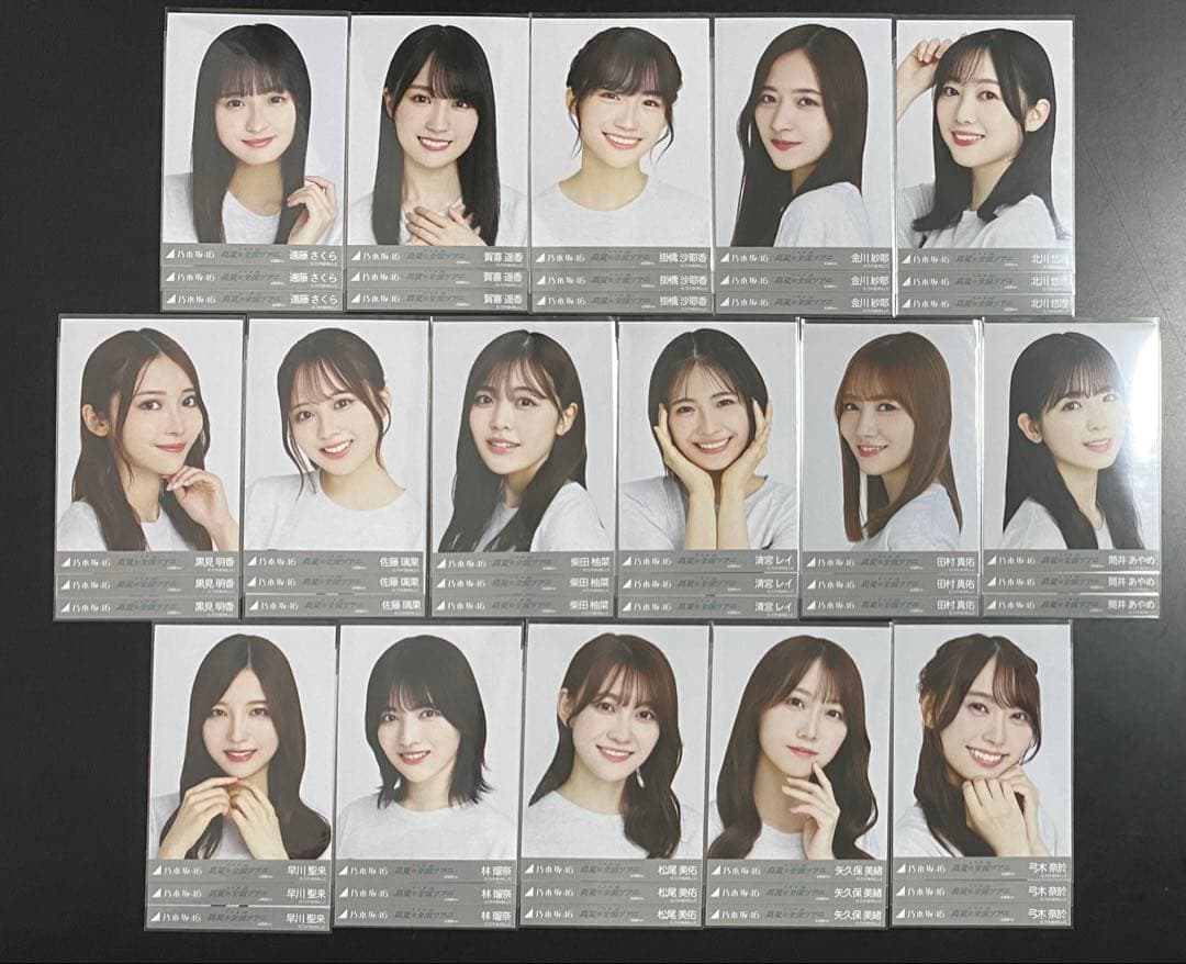 乃木坂46 真夏の全国ツアー2022 北海道　ライブt 生写真　フルコンプ
