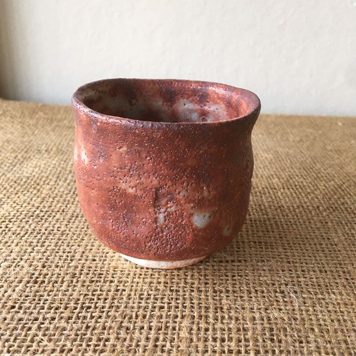 美濃焼 赤志乃 ぐい飲み 箱付き 椿