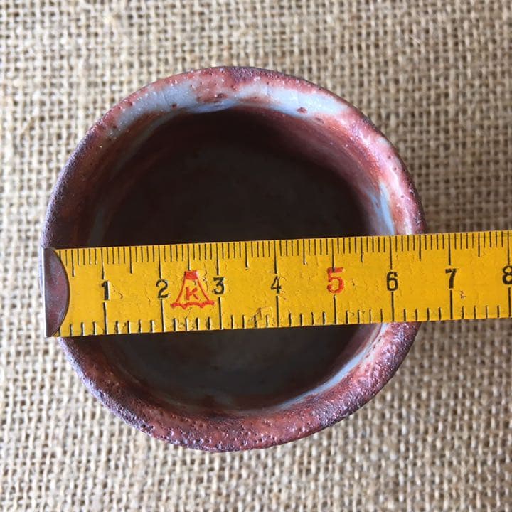 美濃焼 赤志乃 ぐい飲み 箱付き 椿