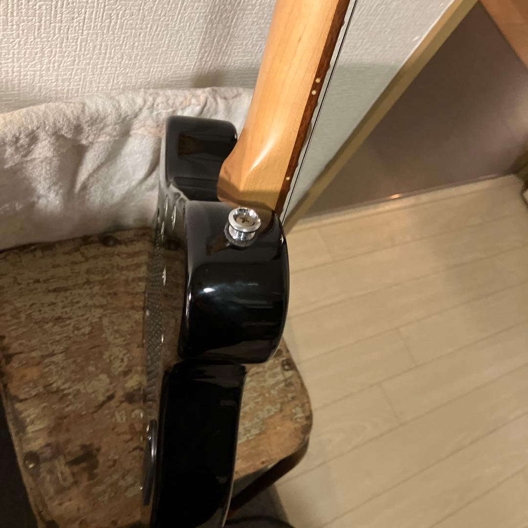 PGG トラベルギター　ピグノーズ