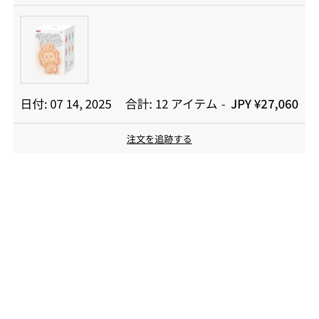 正規品 ラブブ Big into Energy Labubu 新品未開封アソート