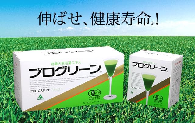 プログリーン　青汁　PROGREEN　160本