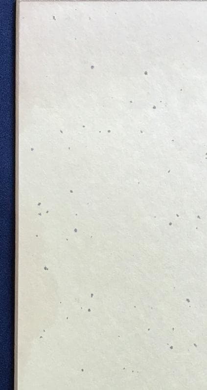 ・ZARD   坂井泉水　「色紙」