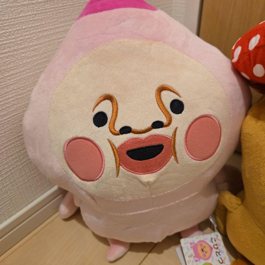 こびとづかん カクレモモジリ スモモノウチ ベニキノコビト リトルハナガシラ