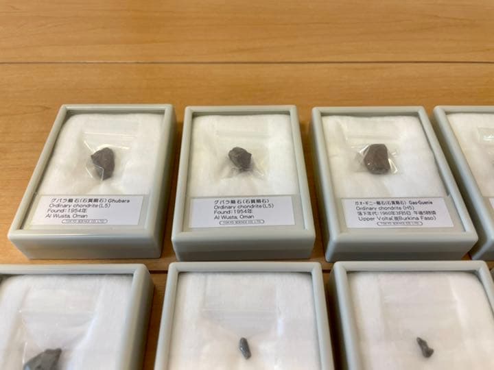 隕石16個セット（東京サイエンス）