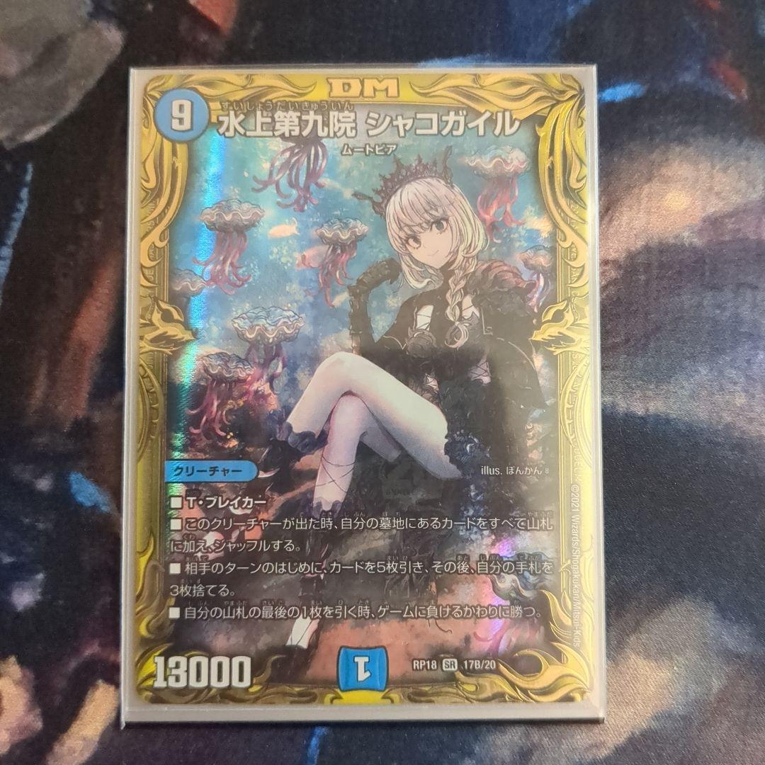 シャコガイル　b ②