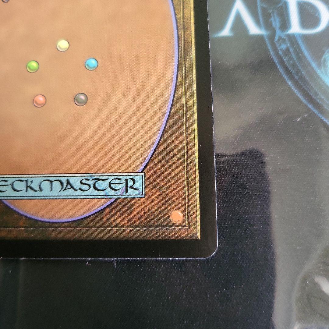 《神聖なる泉/Hallowed Fountain》[EXP] 土地R