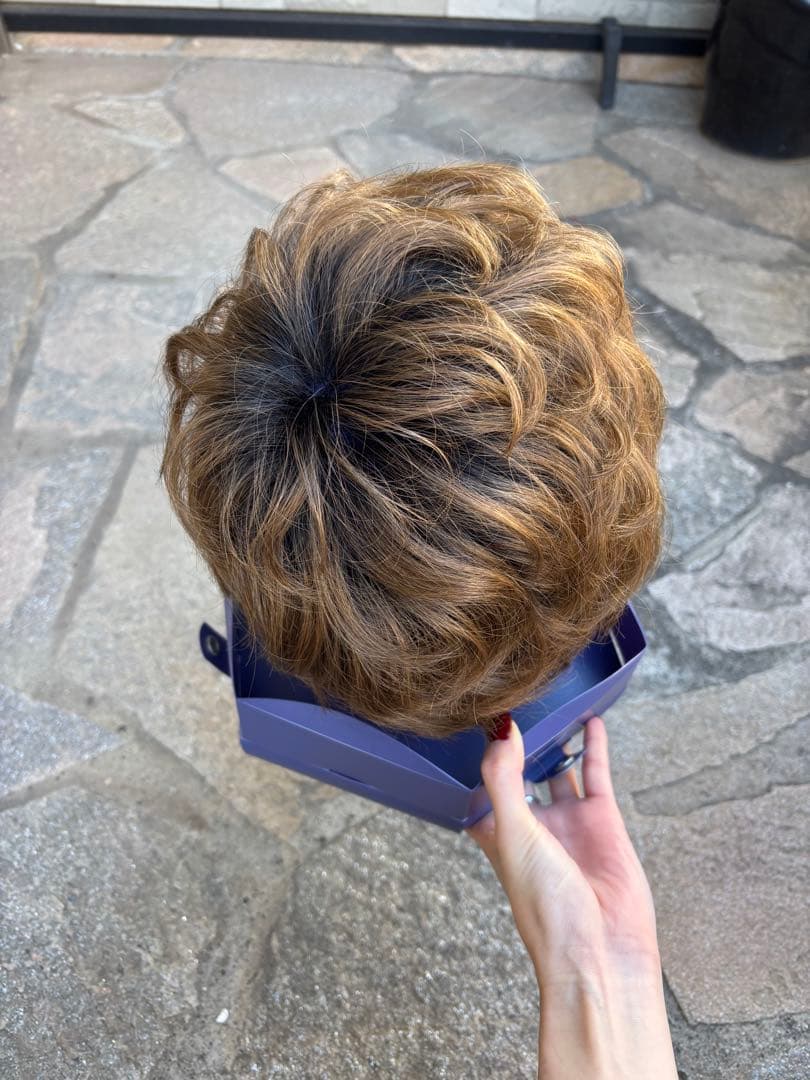 【れいこさま専用】フォンテーヌ　カツラ　ショート