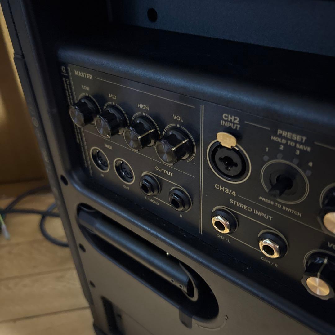 ポジティブグリッドspark Live