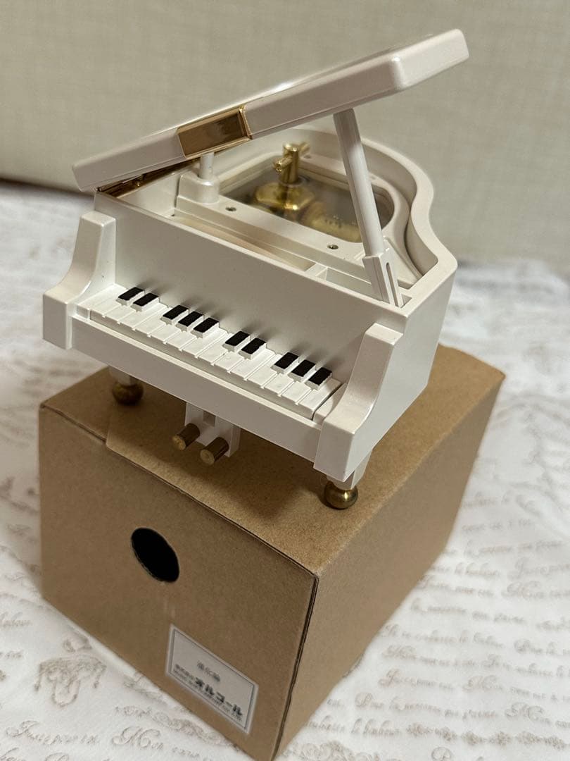 【SOPHIA】進化論♩オルゴール /18弁