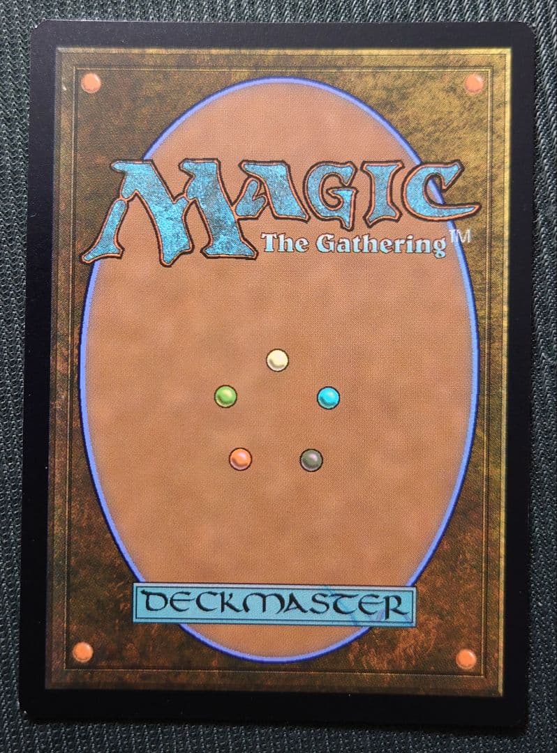 mtg 高騰中 ボーダーレス FOIL 永劫の好奇心 日本語版 dsk