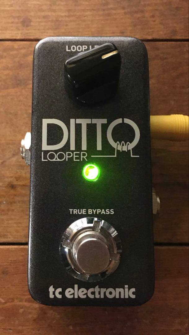 ギター tc electronic DITTO LOOPER