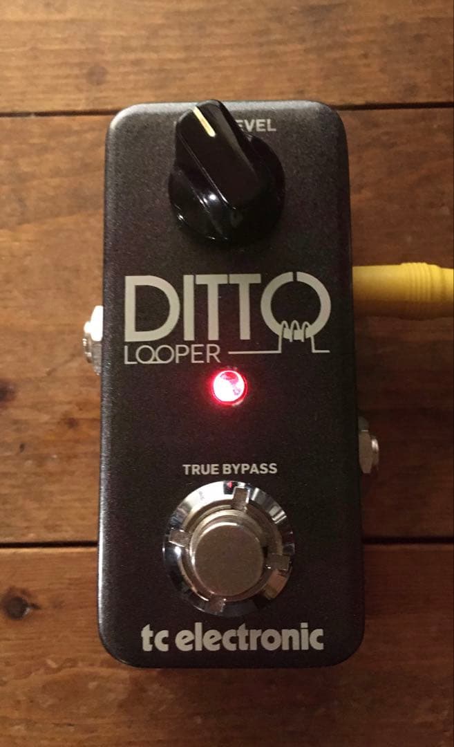 ギター tc electronic DITTO LOOPER