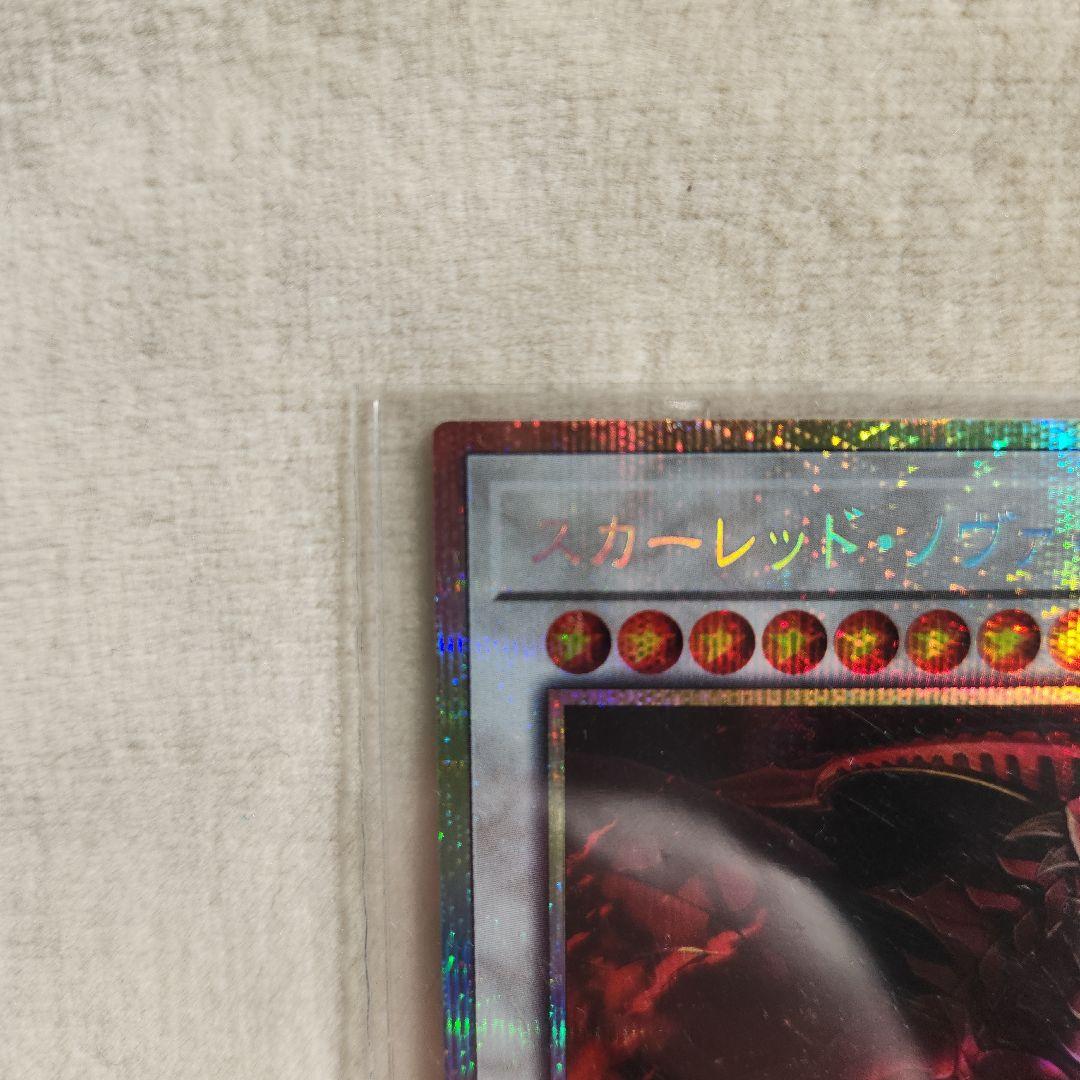 スカーレット・ノヴァ・ドラゴン 絵違い プリシク