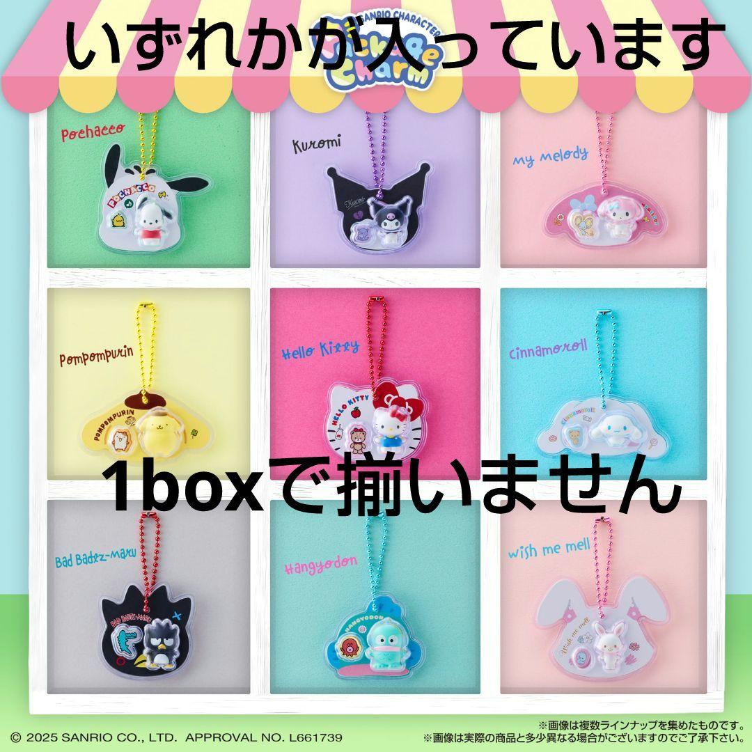 サンリオキャラクターズ　パッケージチャーム＆チョコボーロ　box　未開封
