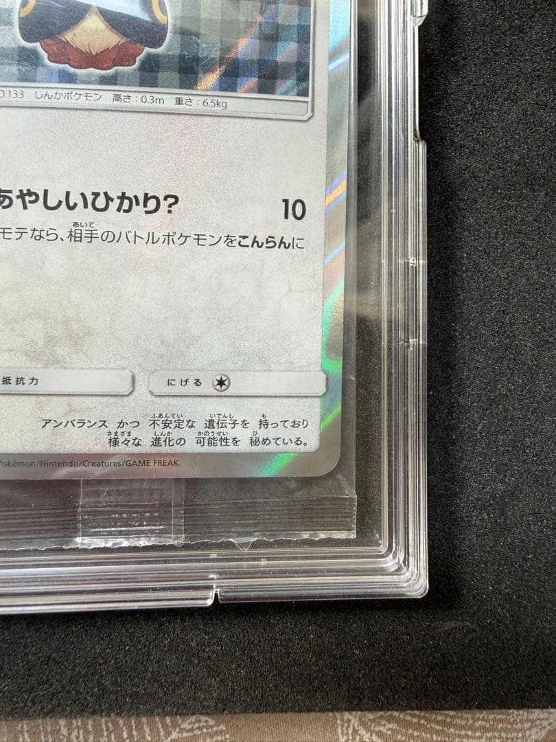 【新品未開封】ポンチョを着たイーブイ（ブラッキー） PROMO SM-P 141