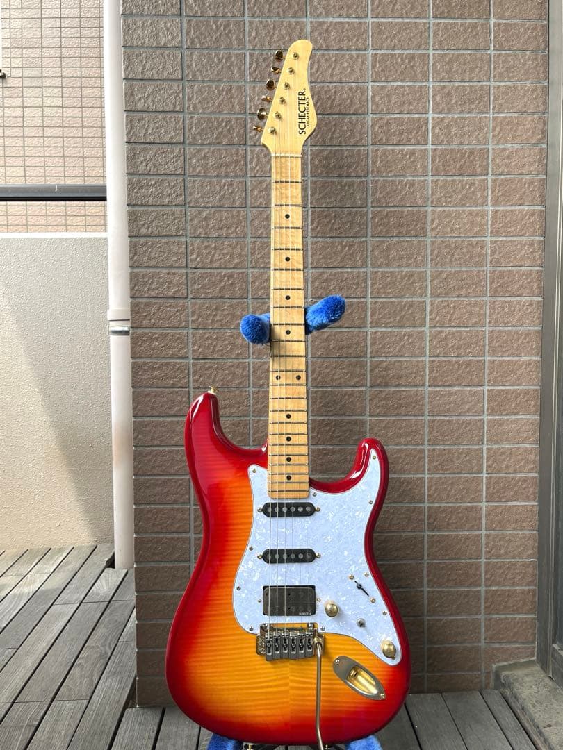 【動作◯】 シェクターネック コンポーネントギター