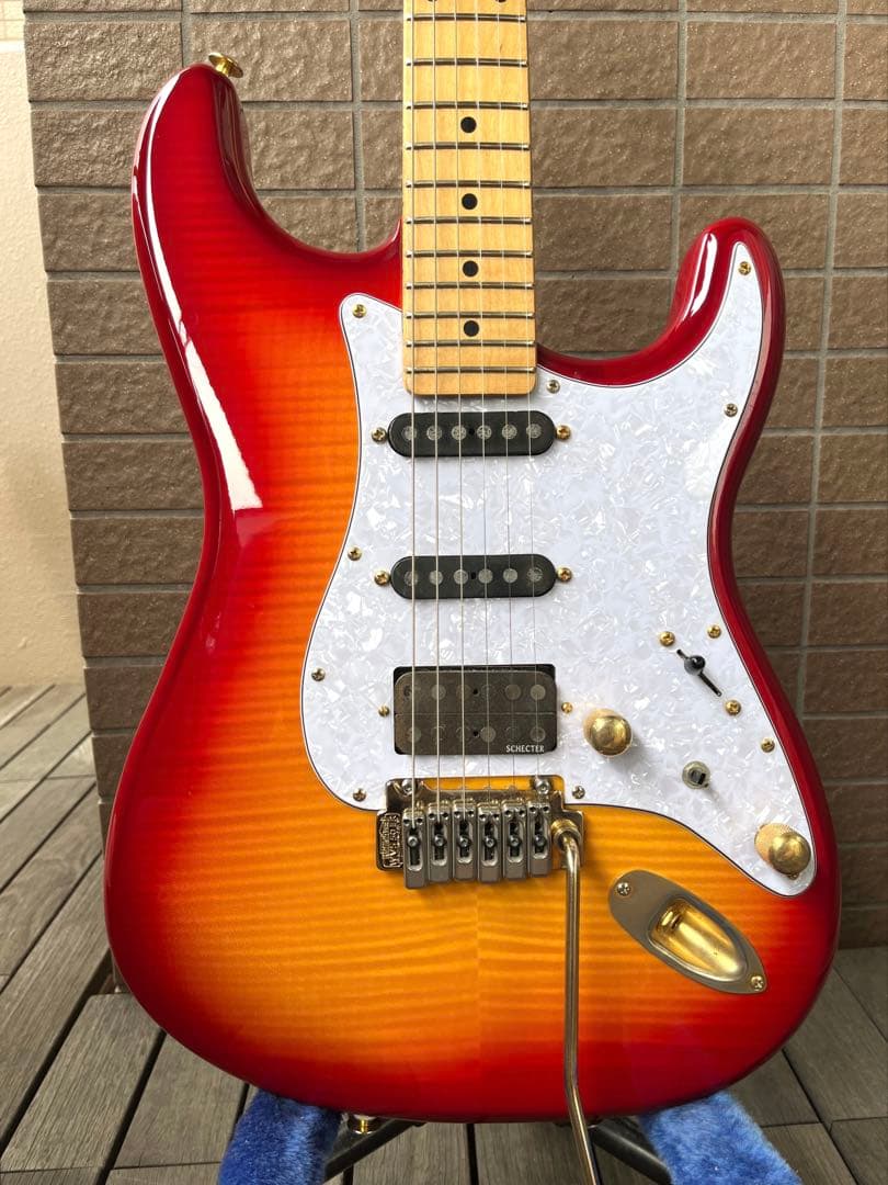 【動作◯】 シェクターネック コンポーネントギター