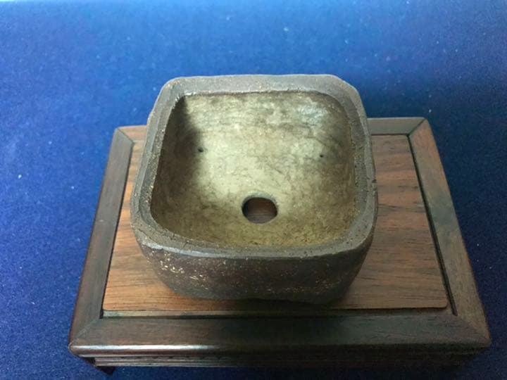 1349 盆栽　盆栽鉢　植木鉢　和鉢　梨皮正方鉢　春山