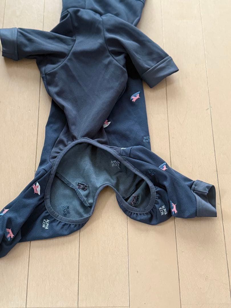 ALPHA ICONドックガードクール2022