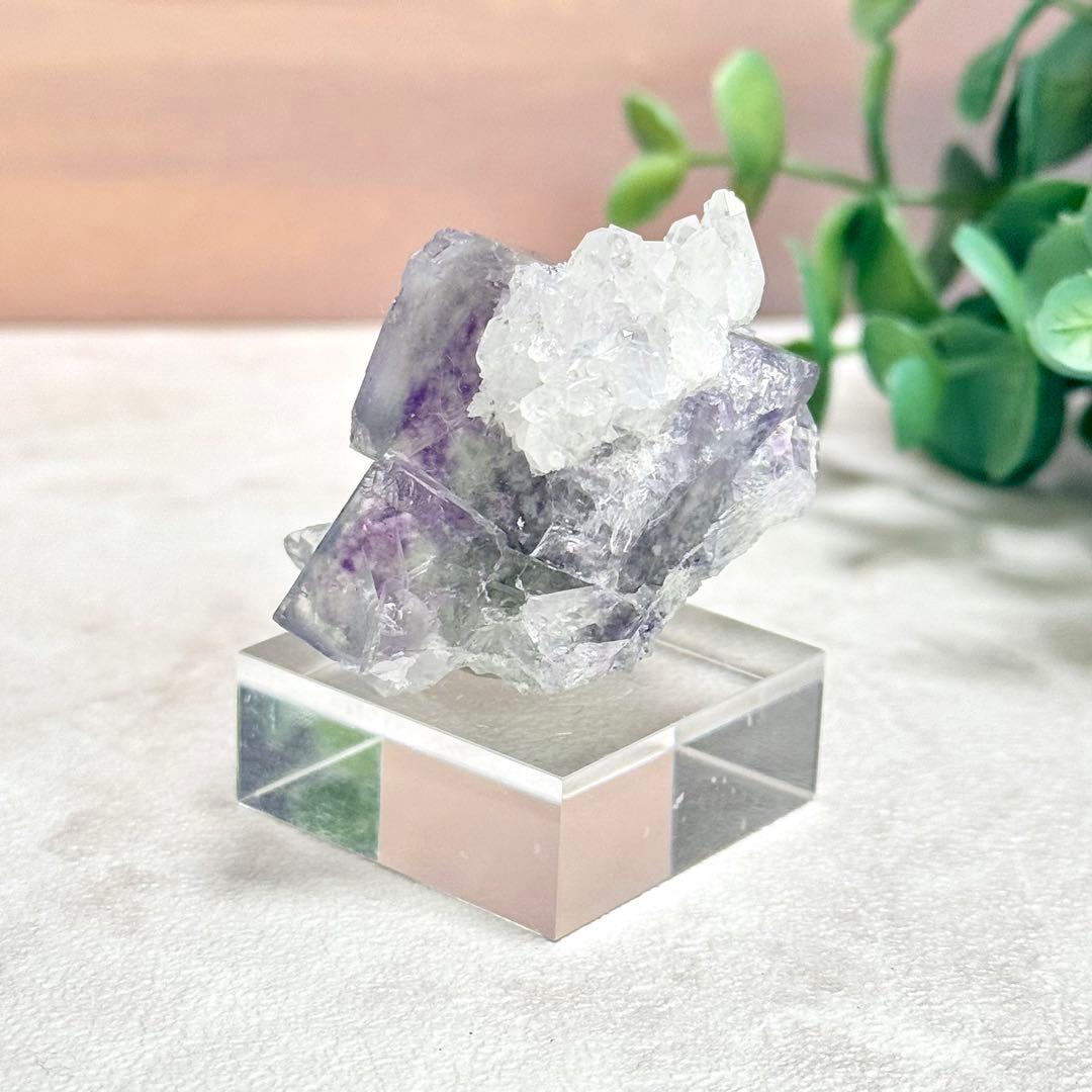 ◆【D021】フローライト 浙江省産 Bタイプ 原石 鉱物 標本