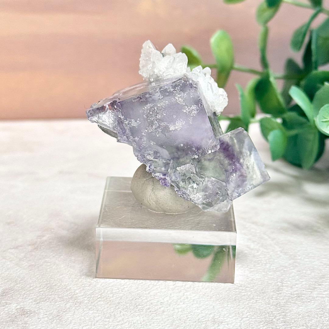 ◆【D021】フローライト 浙江省産 Bタイプ 原石 鉱物 標本