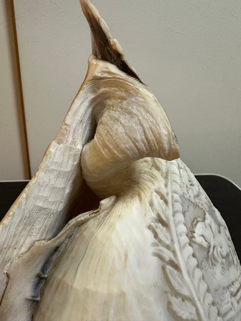 シェルランプ　アンティーク　貝殻の彫刻ランプ　カメオ