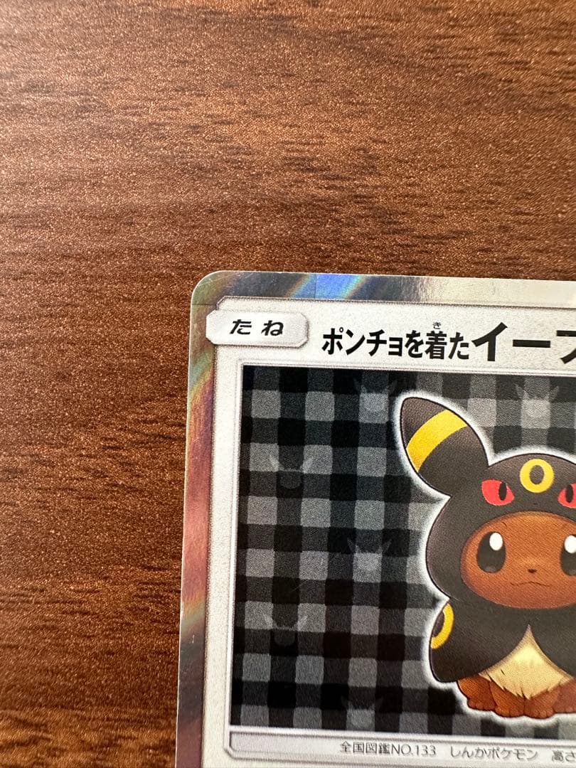 ポンチョを着たイーブイ (ブラッキー)