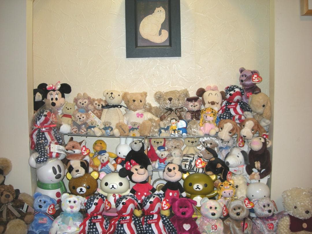 Nikon★COOLPIX S510⭐️極美品⭕️安心の実働品❤️ガンメタの輝き