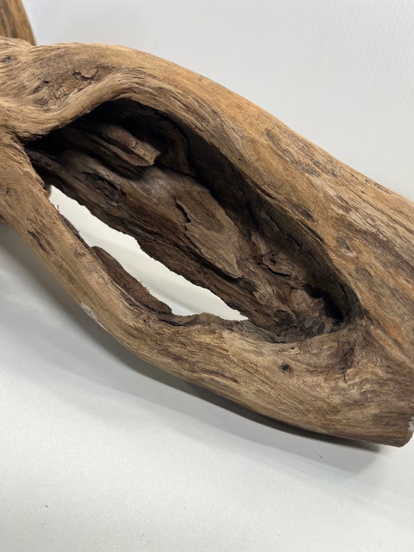 V70特大流木 アク抜き済み流木 爬虫類シェルター 登り木 インテリア 生け花