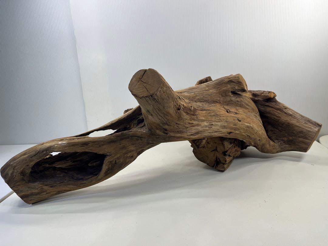 V70特大流木 アク抜き済み流木 爬虫類シェルター 登り木 インテリア 生け花