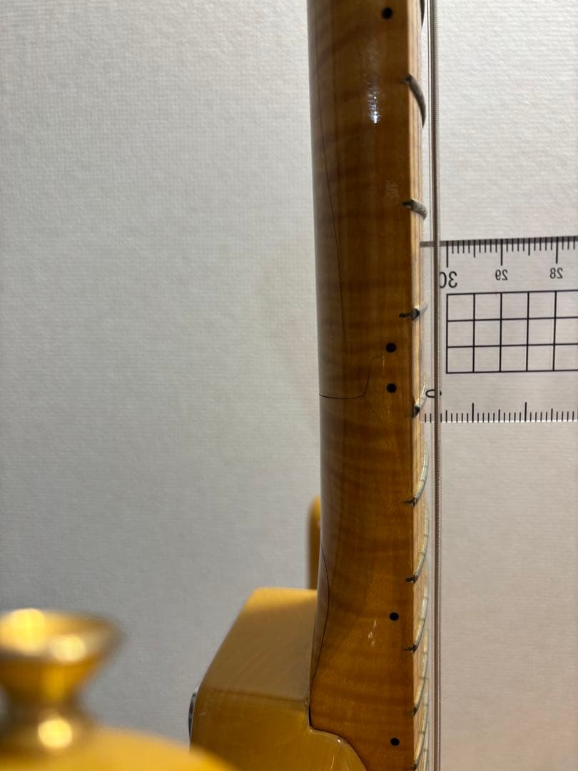 【値下げ】Fender 40thAnniversary Stratocaster