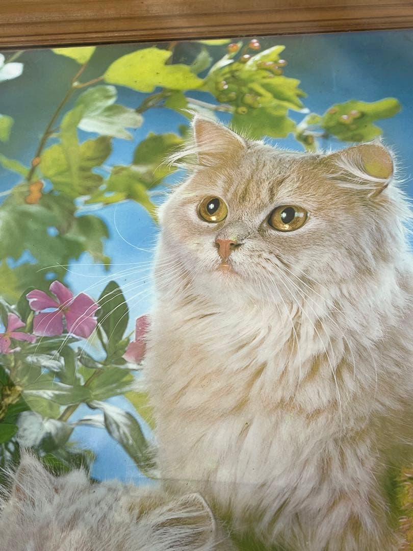 額入り61.0cm 立体壁掛け 仔猫達 （立体画）1154