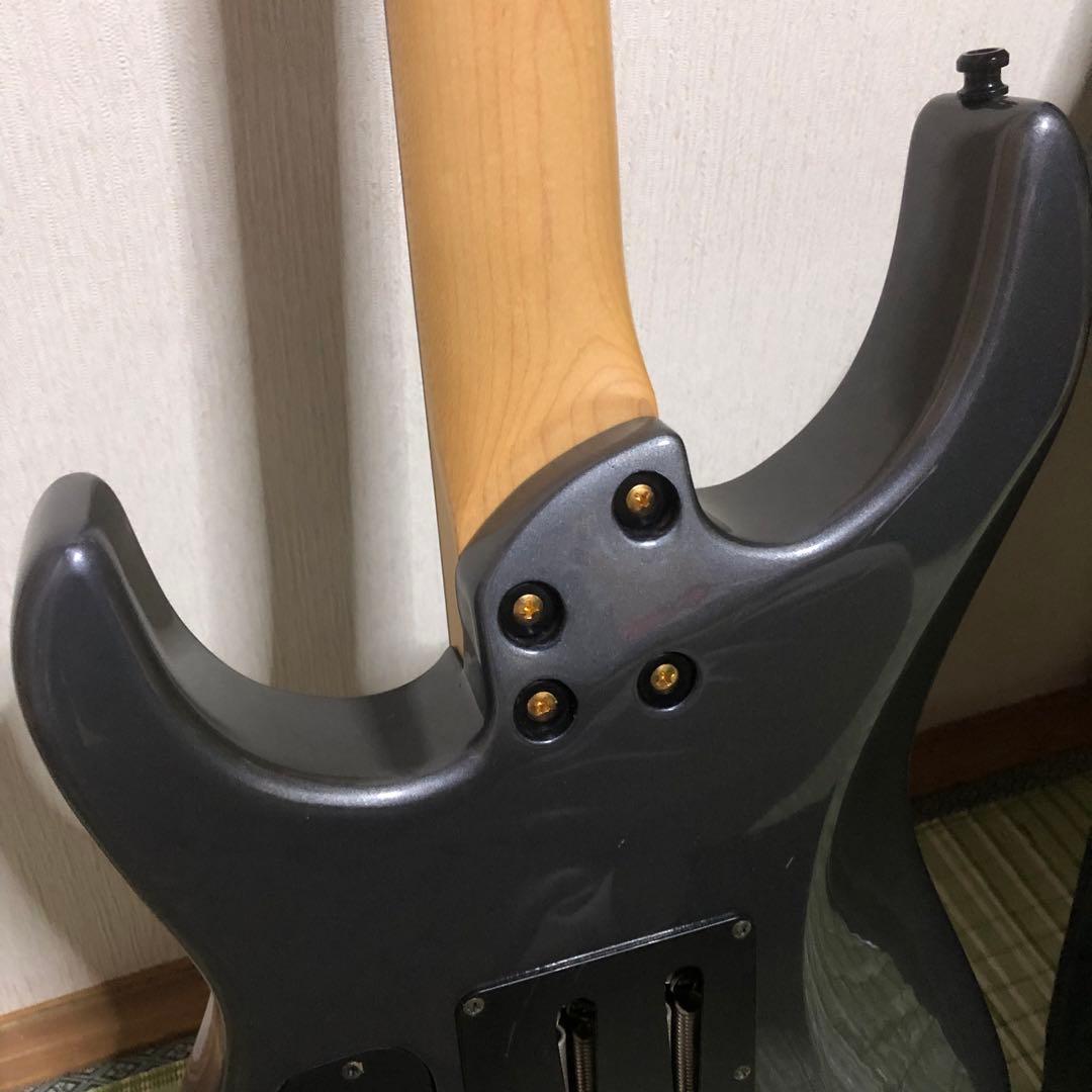 ケン　楽器　ソフトケース付き