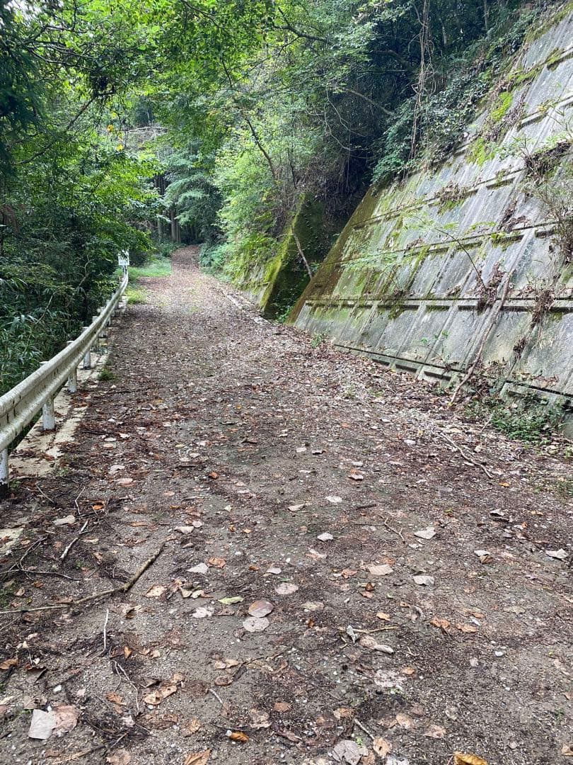 はちみつ　日本蜜蜂のハチミツ　奥山の奥の蜂蜜と花粉入りハチミツ
