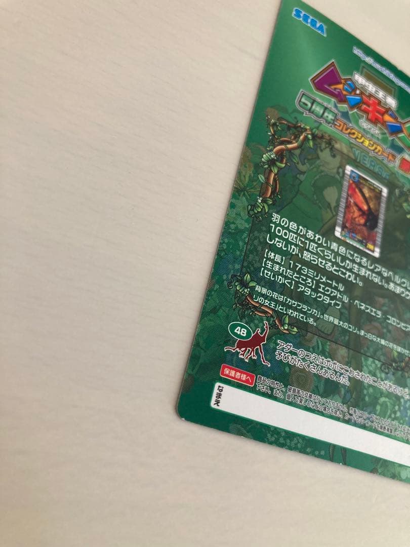 ムシキング　ヘルクレスリッキーブルー　裏面アダー　5周年コレクション第1弾