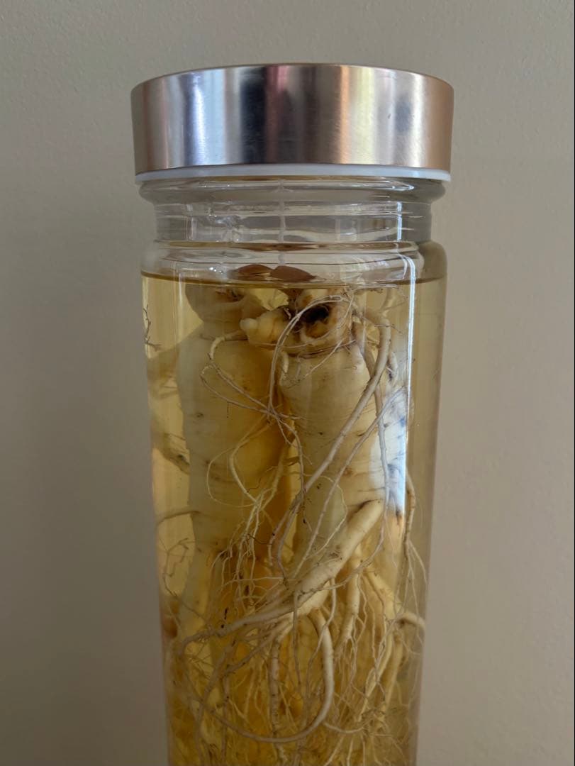 未開栓 朝鮮人参酒 古酒 健康酒 薬酒