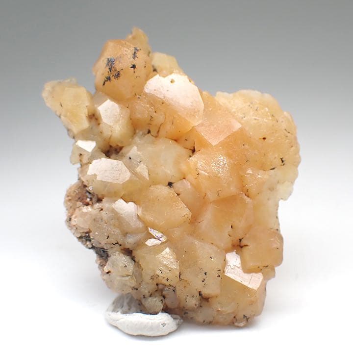 【パキスタン/ザギ産】ザギクォーツ(inc アストロフィライト)