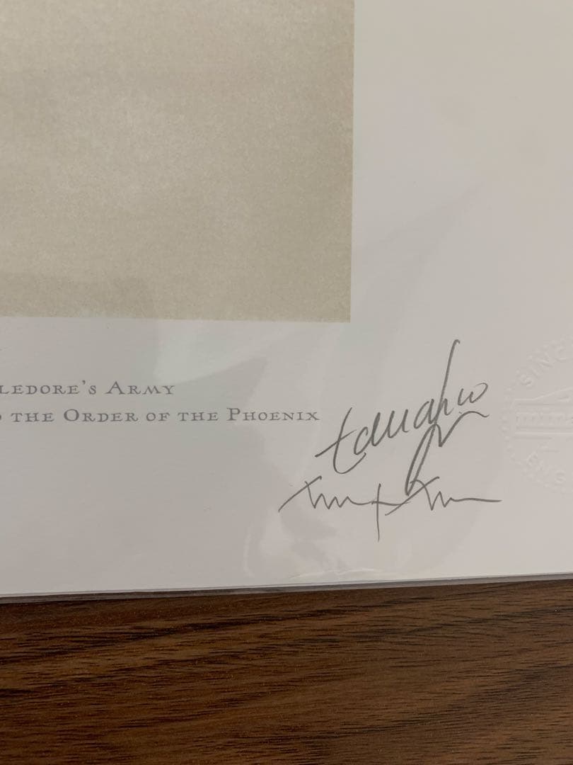 【世界限定250枚】ミナリマ　アートプリント　ダンブルドア軍団　不死鳥の騎士団