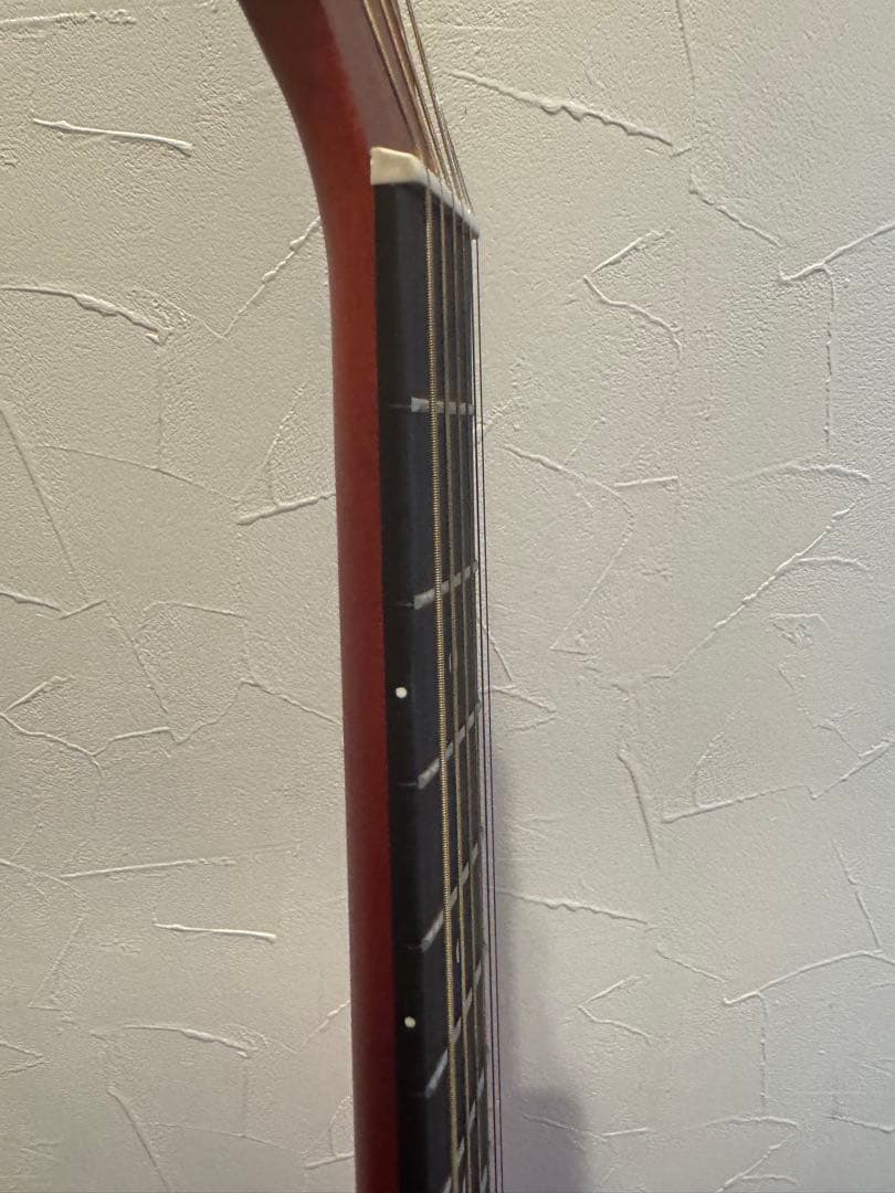 Syair アコースティックギター YF-04/CS ソフトケース・スタンド付き