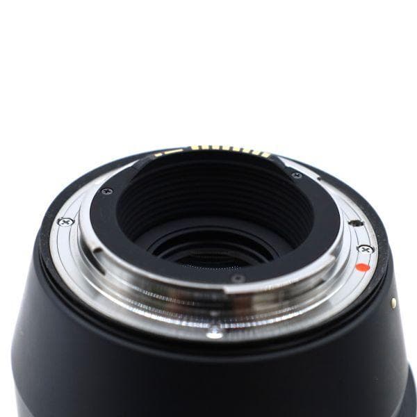 SIGMA 100-400mm F5-6.3 DG OS HSM キャノン用